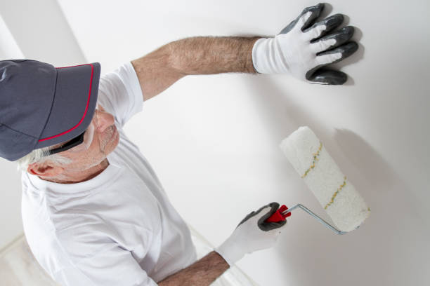 Best Post-Construction Mold Inspection  in Walce Ridge, LA