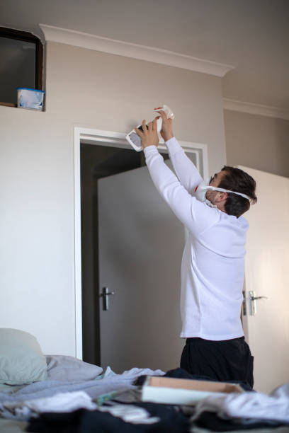 Best Environmental Consulting for Mold Prevention  in Walce Ridge, LA