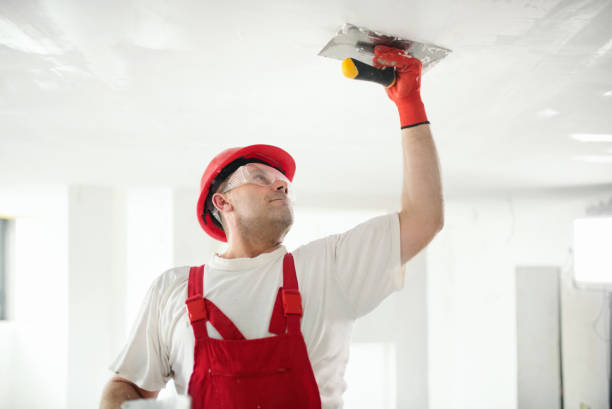 Best Air Quality Testing for Mold Spores  in Walce Ridge, LA