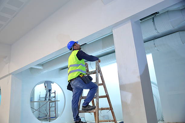 Reliable Wallace Ridge, LA Mold Removal Solutions