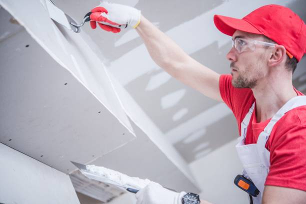 Best Mold Damage Restoration  in Walce Ridge, LA